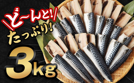 【訳あり規格外】 業務用 無添加 塩さば どーんと! 3kg 鯖 さば 塩サバ 干物 魚