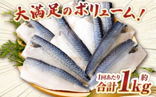 【3ヶ月定期便】【訳あり】国産 ふっくら 極み塩サバ 計約1kg ／ 1切れ 塩サバ 塩さば 塩鯖 さば サバ 鯖 魚