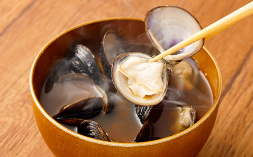 BN-6 神栖の黒宝　漁業者からお届け！利根川産 ヤマトシジミ 500g 貝 しじみ シジミ 蜆 砂抜き