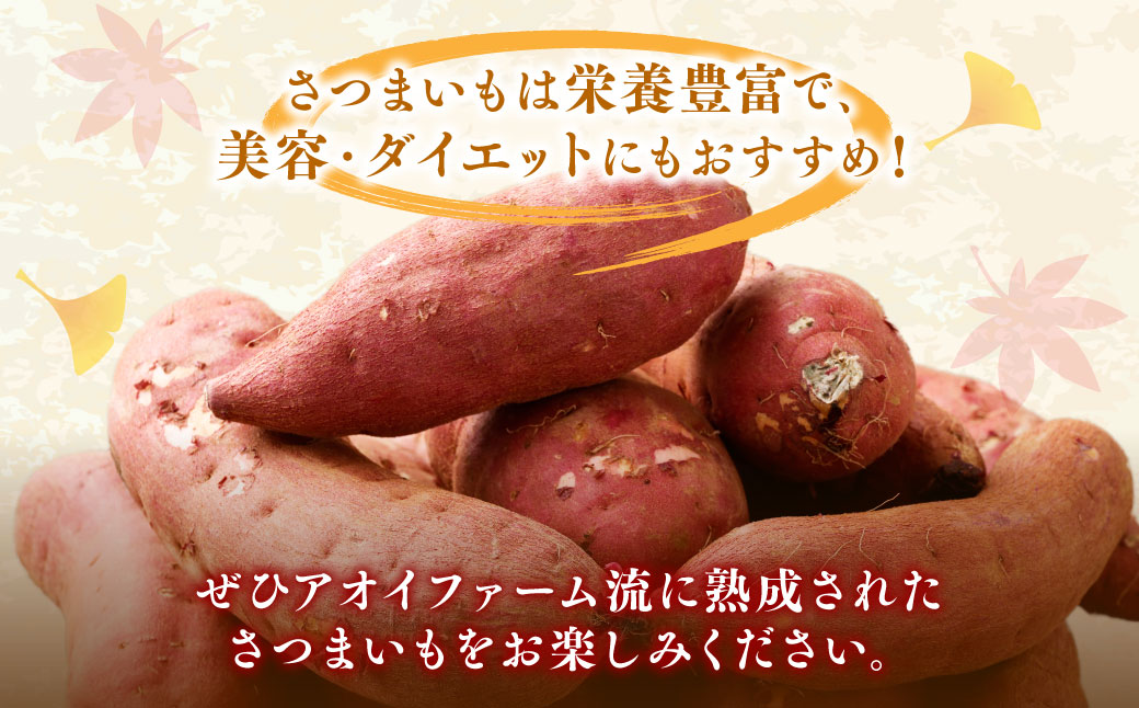 “熟成” 茨城県産 さつまいも 【 紅はるか 】 約10kg （茨城県共通返礼品・行方市産） 芋 いも サツマイモ 野菜 やさい 国産