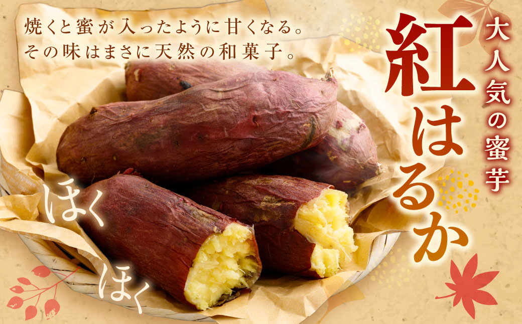【 訳あり 】“熟成” 茨城県産 さつまいも 【 紅はるか 】 約5kg （茨城県共通返礼品・行方市産） 芋 いも サツマイモ 野菜 やさい 国産