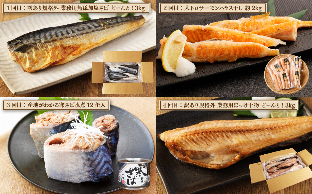 【6ヶ月定期便】 神栖市 海の幸 堪能 セット 鯖 さば サーモンハラス サバ缶 水煮 みそ煮 ホッケ 干物 西京漬け