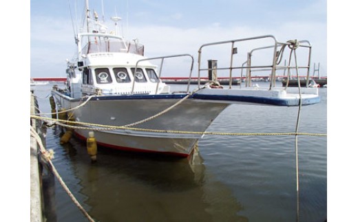 【釣り船乗船券】征海丸（1名様分） 乗船体験 体験 チケット