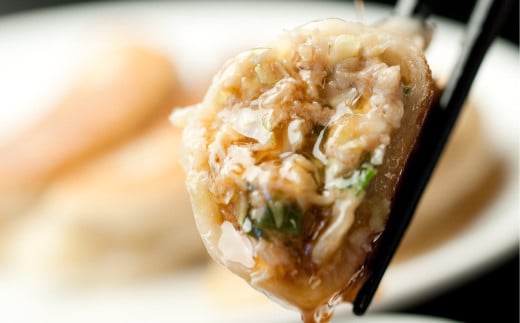 東京食堂のチャーハンと焼き餃子（各5パック）合計10パック