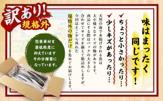 【訳あり規格外】 業務用 無添加 塩さば どーんと! 3kg 鯖 さば 塩サバ 干物 魚