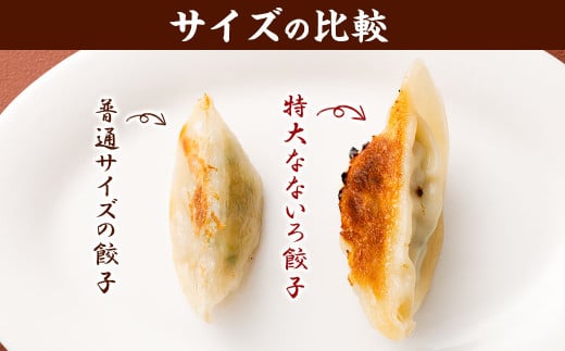 特大なないろ 餃子 10個 × 4パック 合計 40個 ぎょうざ ギョウザ 冷凍