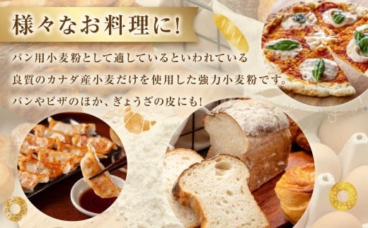 強力小麦粉 クオリテ 600g×20個 合計12kg ／ 小麦粉 小麦 強力粉 粉 パン ピザ ぎょうざの皮 料理 常温