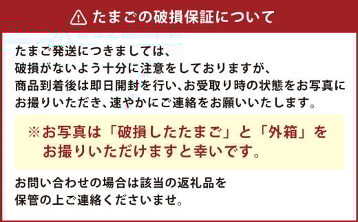吉原玉子カステラセット たまご 50個（45個＋割れ保証5個） ＆ カステラ ハーフサイズ 2個 卵 カステラ