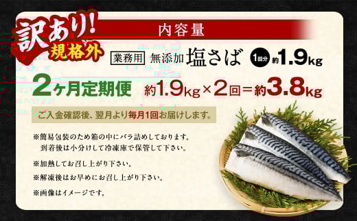 【2ヶ月定期便】【訳あり規格外】 業務用 無添加塩さば 1.9kg