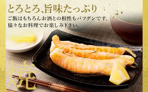 【3ヶ月定期便】アトランティックサーモン 大トロサーモンハラス干し 約2kg×3回 合計6kg サーモン ハラス 魚 さかな 一夜干し おかず