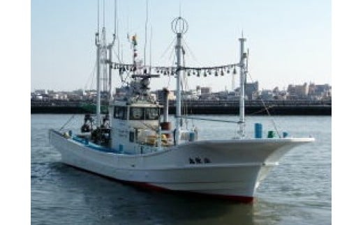 【釣り船乗船券】庄栄丸（1名様分） 乗船体験 体験 チケット