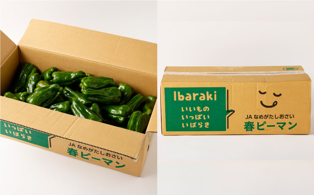 AY-2 丸ごと食べられる！波崎ジャンボピーマン　4kg（約70個入り） 野菜 やさい ピーマン おかず 炒め物 丸焼き 国産