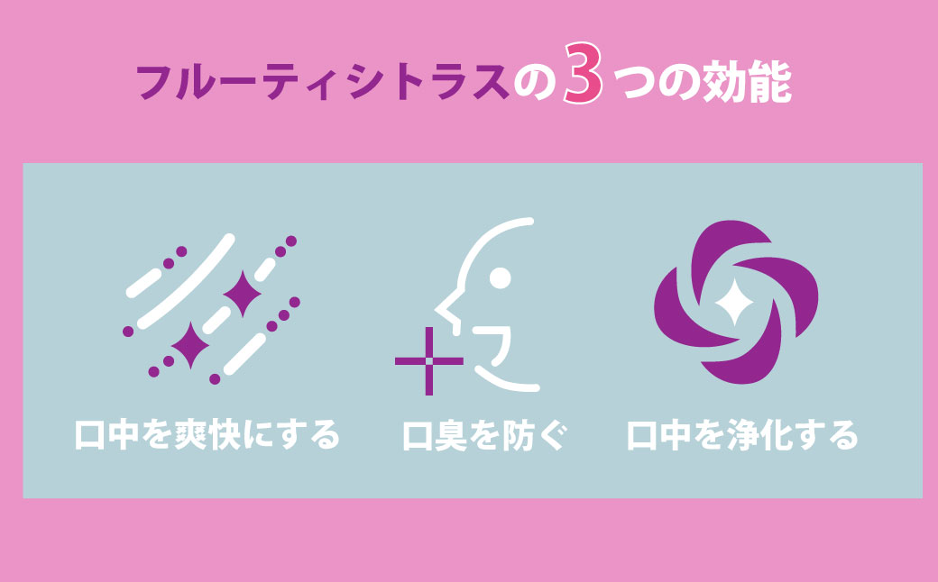 【2ヶ月毎3回定期便】マウスウォッシュ メイクアニューハビット （ノンアルコール フルーティシトラス）975ml×5個 セット 洗浄 洗口液 日用品