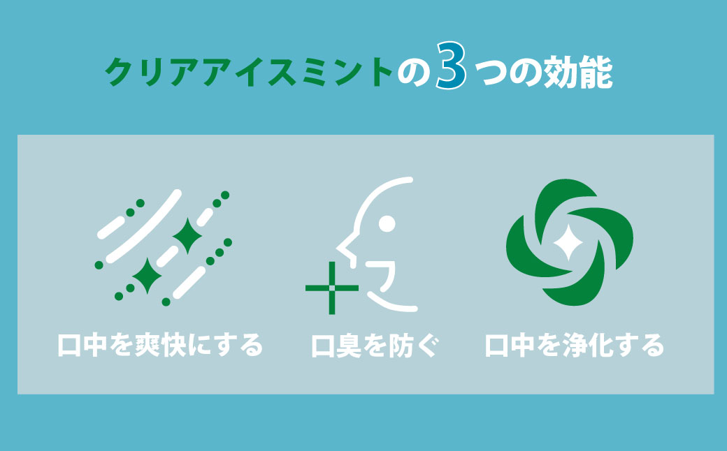 【2ヶ月毎2回定期便】 マウスウォッシュ メイクアニューハビット クリアアイスミント 975ml×5個 セット 洗浄 洗口液 日用品