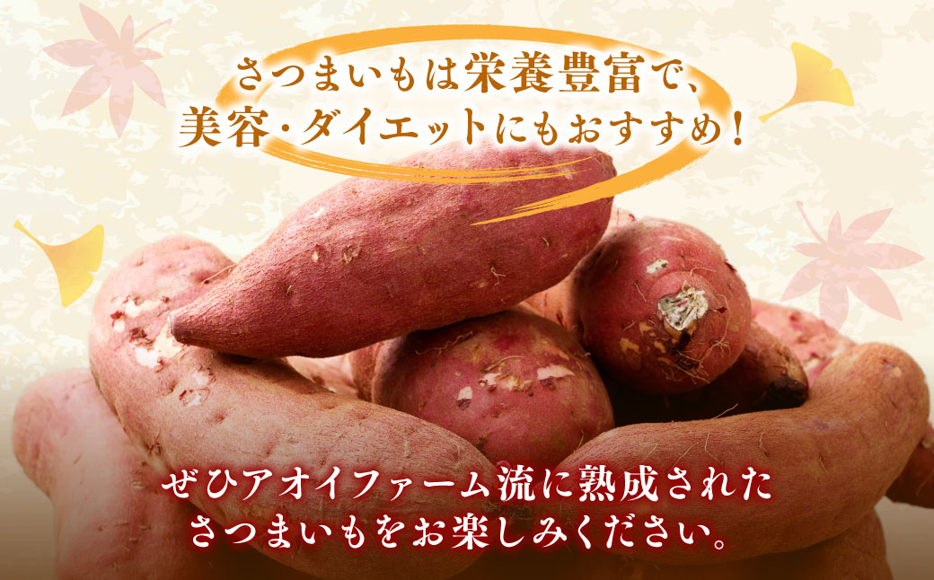 【4ヶ月定期便】“熟成”茨城県産さつまいも【紅はるか】約10kg (茨城県共通返礼品・行方市産）合計約40kg 芋 いも サツマイモ 野菜 やさい 国産