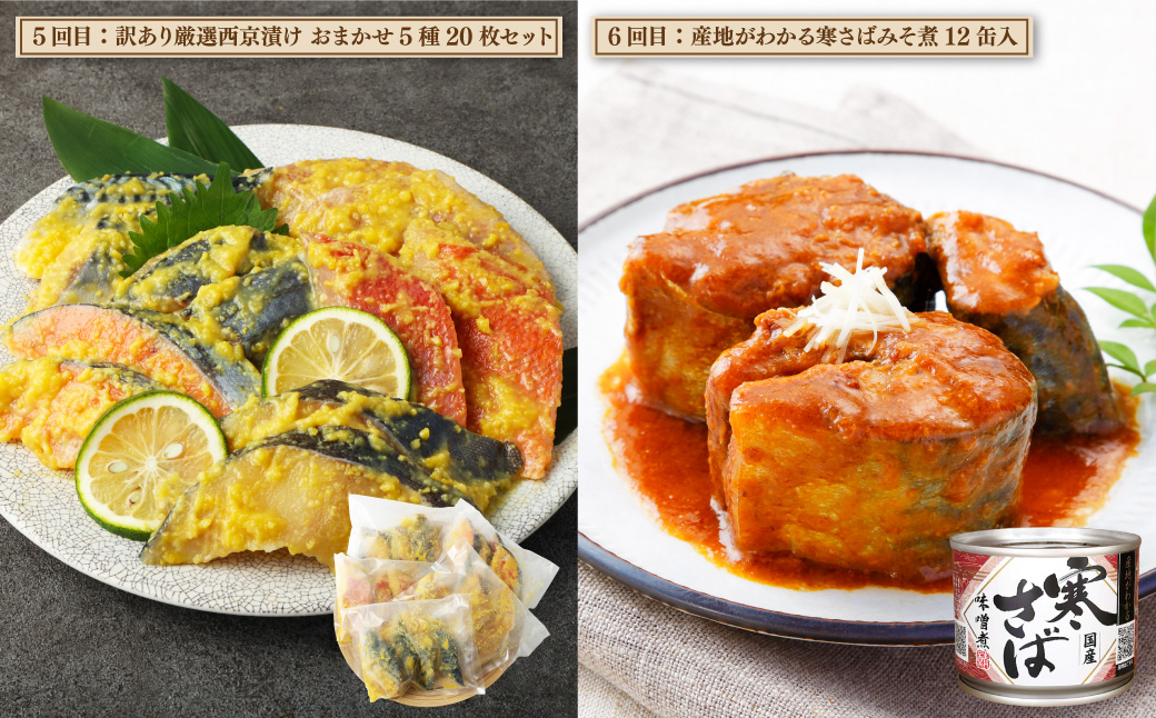 【6ヶ月定期便】 神栖市 海の幸 堪能 セット 鯖 さば サーモンハラス サバ缶 水煮 みそ煮 ホッケ 干物 西京漬け