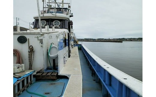 【釣り船乗船券】第二浜茄子丸（1名様分） 乗船体験 体験 チケット