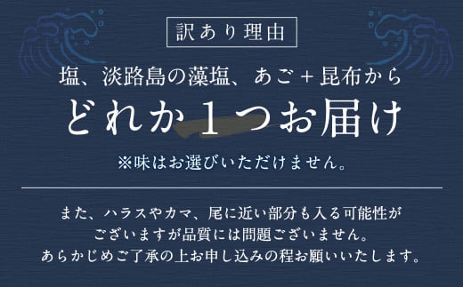 【6カ月定期便】【訳あり】 厚切り 銀鮭切身 約1kg×6回 合計約6kg 銀鮭 鮭 サケ 切り身 魚 魚介 しゃけ