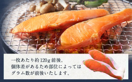 【訳あり】 厚切り 銀鮭切身 約1kg 銀鮭 鮭 サケ 切り身 魚 魚介 しゃけ