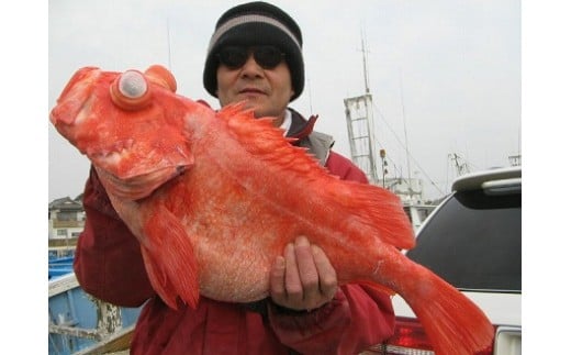 【釣り船乗船券】第三東洋丸（1名様分） 乗船体験 体験 チケット