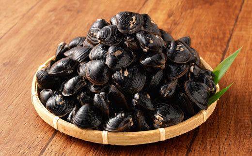 BN-4 神栖の黒宝　漁業者からお届け！利根川産 ヤマトシジミ 2kg 貝 しじみ シジミ 蜆 砂抜き