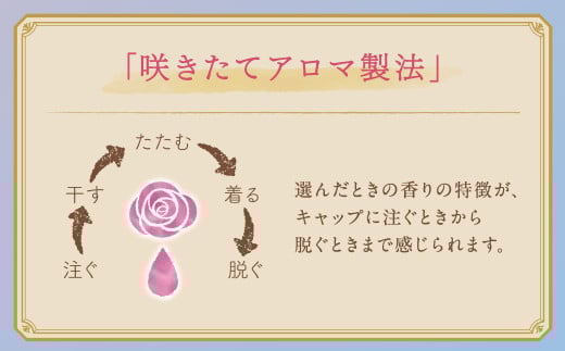 ソフラン アロマリッチ ジュリエット 替特大 セット （替特大6個） 合計4,500ml 柔軟剤 洗濯 日用品 生活用品 ライオン