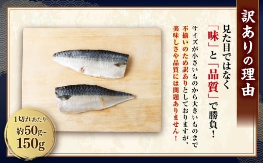 【5ヶ月定期便】【訳あり】国産 ふっくら 極み塩サバ 計約1kg ／ 1切れ 塩サバ 塩さば 塩鯖 さば サバ 鯖 魚