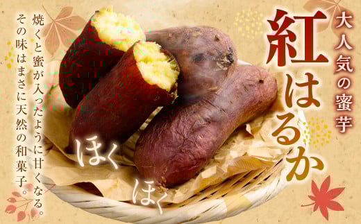 【 訳あり 】“熟成” 茨城県産 神栖市産 さつまいも 【 紅はるか 】 約5kg 芋 いも サツマイモ 野菜 やさい 国産