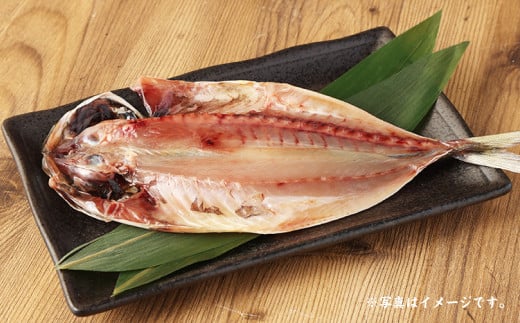 BB-10 迷うなら全部入れちゃう干物セット 6～8枚（金目鯛、縞ホッケ、さんま、真アジ、サバ、いか、赤魚など）