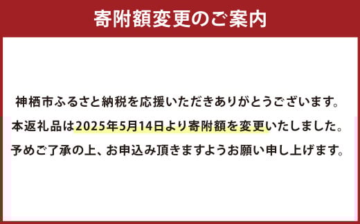 吉原玉子カステラセット たまご 50個（45個＋割れ保証5個） ＆ カステラ ハーフサイズ 2個 卵 カステラ