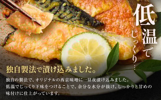 【6ヶ月定期便】【訳あり】西京漬け おまかせ2種8枚セット ／ 約2.4kg 6ヶ月 6回 西京味噌 銀だら 鱈 たら タラ さわら サーモン 金目鯛 鯖 赤魚 魚 海鮮 魚介 漬け魚 漬魚 焼き魚 切り身 切身 おかず おつまみ セット 定期便 茨城県 神栖市 冷凍