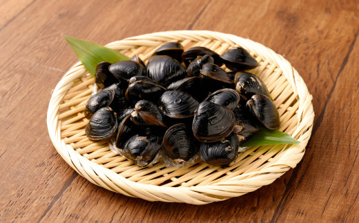 BN-6 神栖の黒宝　漁業者からお届け！利根川産 ヤマトシジミ 500g 貝 しじみ シジミ 蜆 砂抜き