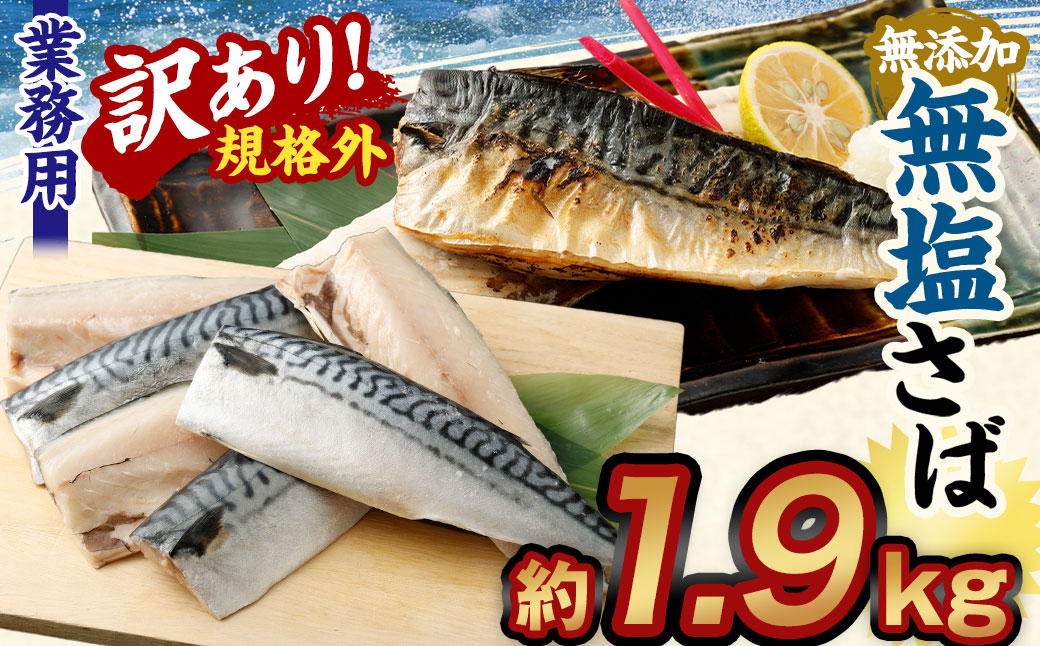 【訳あり規格外】 業務用 無添加 無塩さば 1.9kg 鯖 さば サバ 魚 お魚 さかな 魚介 魚介類