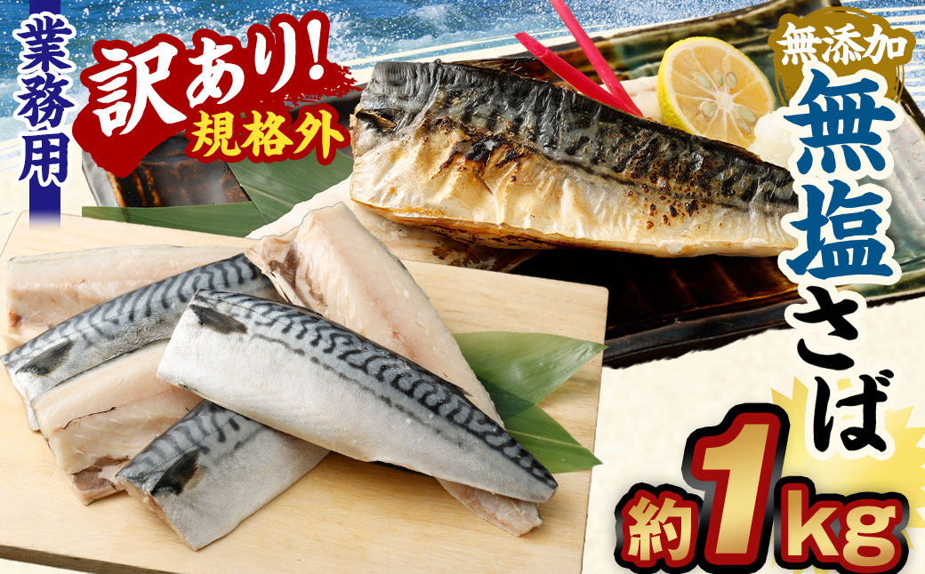 【訳あり規格外】 業務用 無添加 無塩さば 1kg 鯖 さば サバ 魚 お魚 さかな 魚介 魚介類