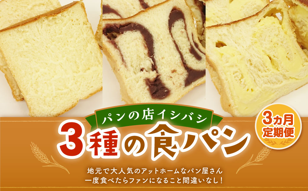 AU-20 【3ヵ月定期便】 3種の食パンセット 3斤×3回 食パン パン