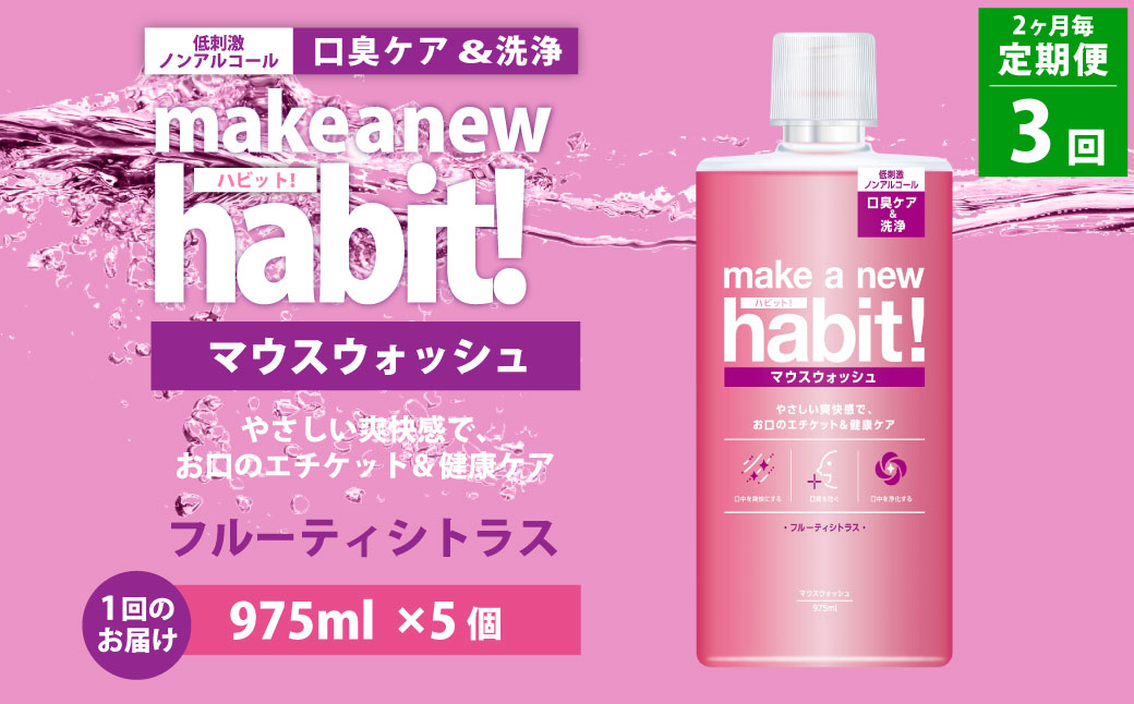 【2ヶ月毎3回定期便】マウスウォッシュ メイクアニューハビット （ノンアルコール フルーティシトラス）975ml×5個 セット 洗浄 洗口液 日用品