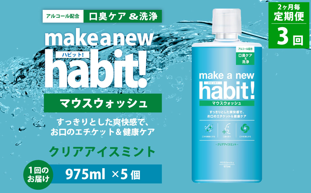 【2ヶ月毎3回定期便】 マウスウォッシュ メイクアニューハビット クリアアイスミント 975ml×5個 セット 洗浄 洗口液 日用品