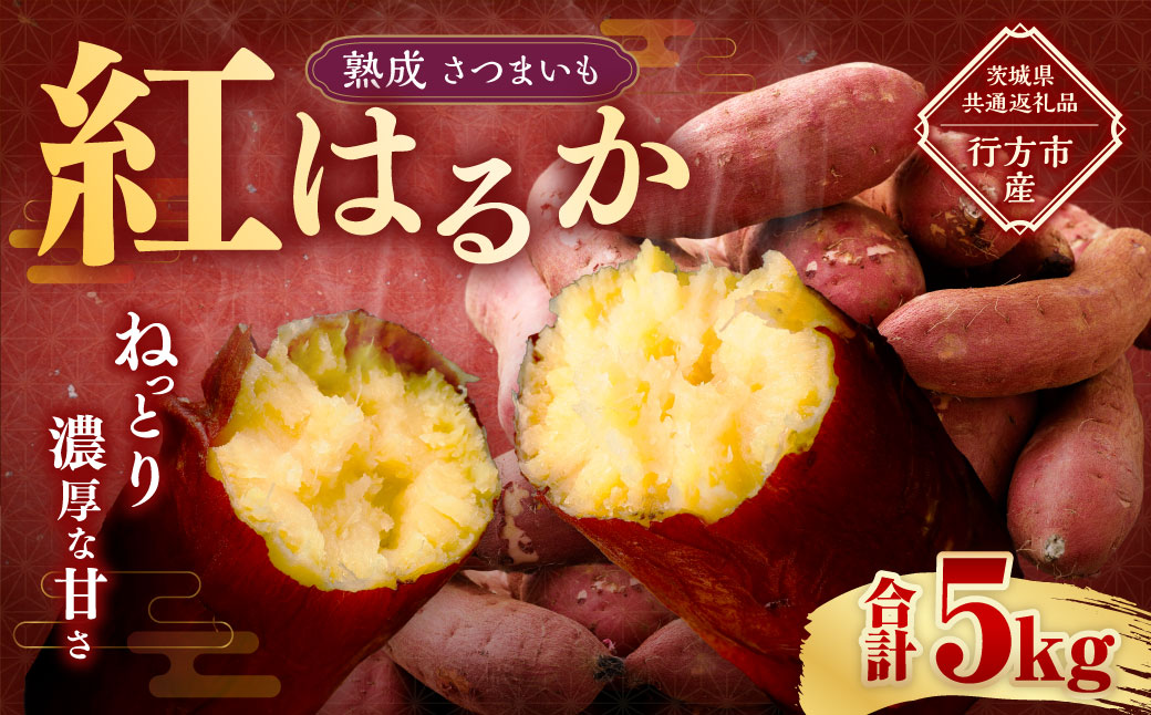 “熟成” 茨城県産 さつまいも 【 紅はるか 】 約5kg （茨城県共通返礼品・行方市産） 芋 いも サツマイモ 野菜 やさい 国産