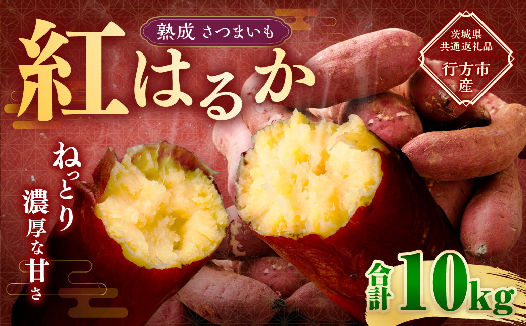 “熟成” 茨城県産 さつまいも 【 紅はるか 】 約10kg （茨城県共通返礼品・行方市産） 芋 いも サツマイモ 野菜 やさい 国産