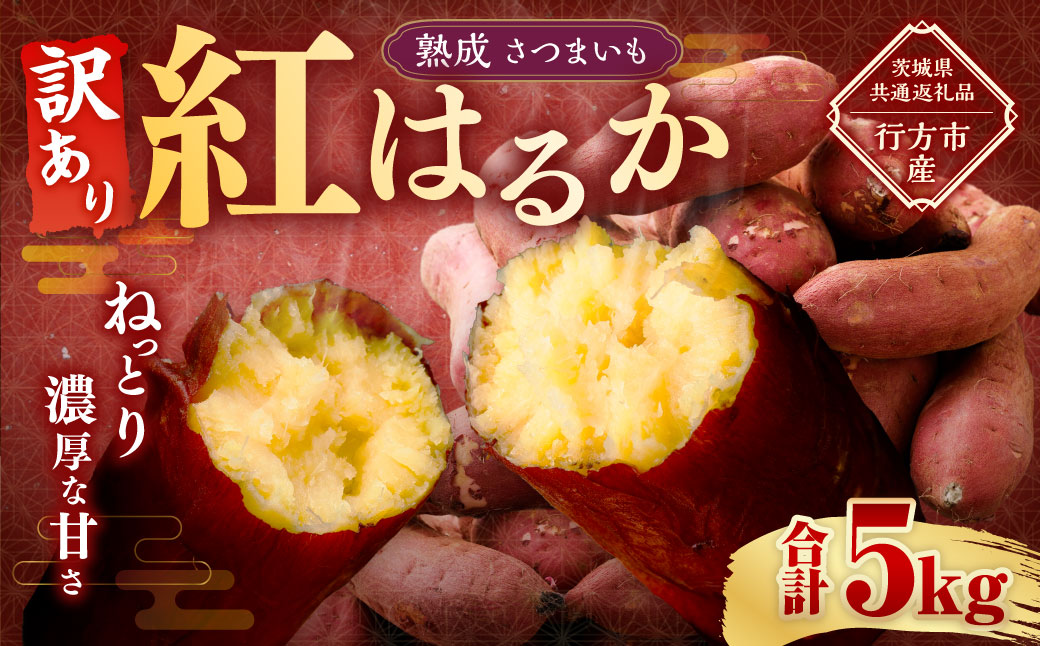 【 訳あり 】“熟成” 茨城県産 さつまいも 【 紅はるか 】 約5kg （茨城県共通返礼品・行方市産） 芋 いも サツマイモ 野菜 やさい 国産
