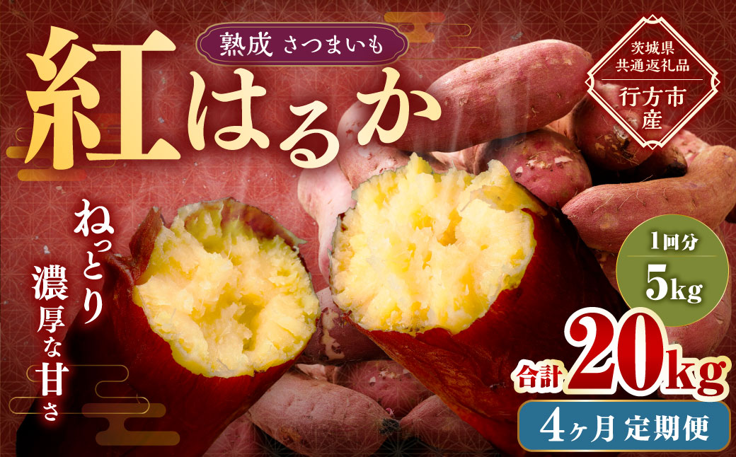 【4ヶ月定期便】“熟成”茨城県産さつまいも【紅はるか】約5kg (茨城県共通返礼品・行方市産）合計約20kg 芋 いも サツマイモ 野菜 やさい 国産