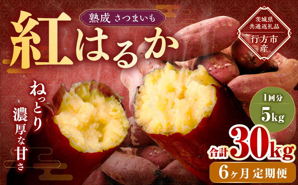 【6ヶ月定期便】“熟成”茨城県産さつまいも【紅はるか】約5kg (茨城県共通返礼品・行方市産）合計約30kg 芋 いも サツマイモ 野菜 やさい 国産