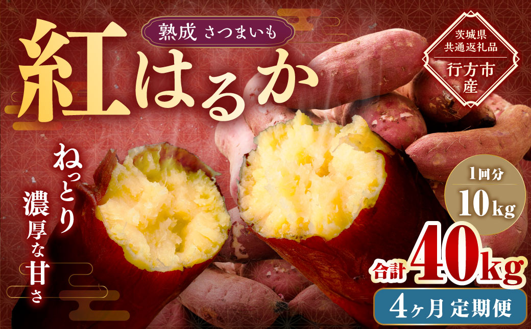 【4ヶ月定期便】“熟成”茨城県産さつまいも【紅はるか】約10kg (茨城県共通返礼品・行方市産）合計約40kg 芋 いも サツマイモ 野菜 やさい 国産