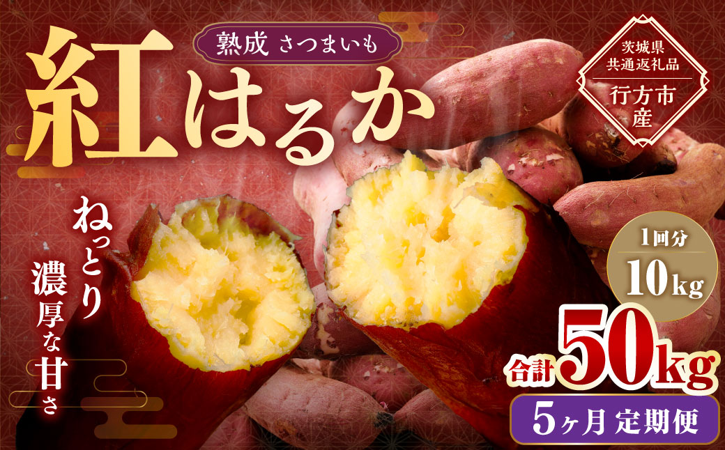 【5ヶ月定期便】“熟成”茨城県産さつまいも【紅はるか】約10kg (茨城県共通返礼品・行方市産）合計約50kg 芋 いも サツマイモ 野菜 やさい 国産