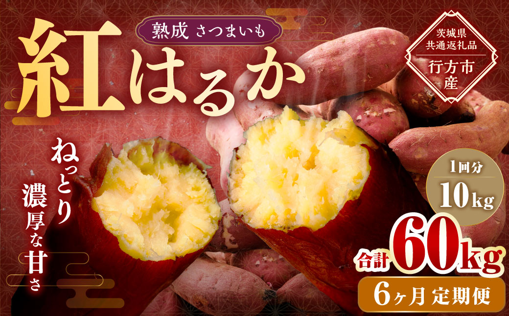 【6ヶ月定期便】“熟成”茨城県産さつまいも【紅はるか】約10kg (茨城県共通返礼品・行方市産）合計約60kg 芋 いも サツマイモ 野菜 やさい 国産