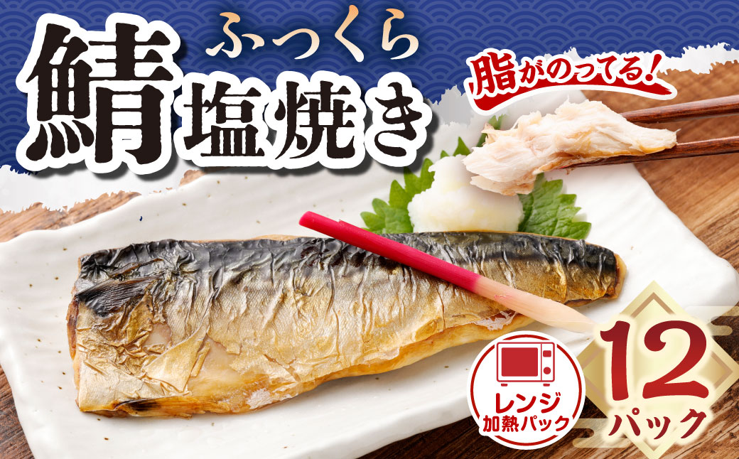 ふっくら鯖塩焼き レンジ加熱パック12食入 ｜ 鯖 サバ さば 塩焼き おかず 冷凍 茨城県 神栖市