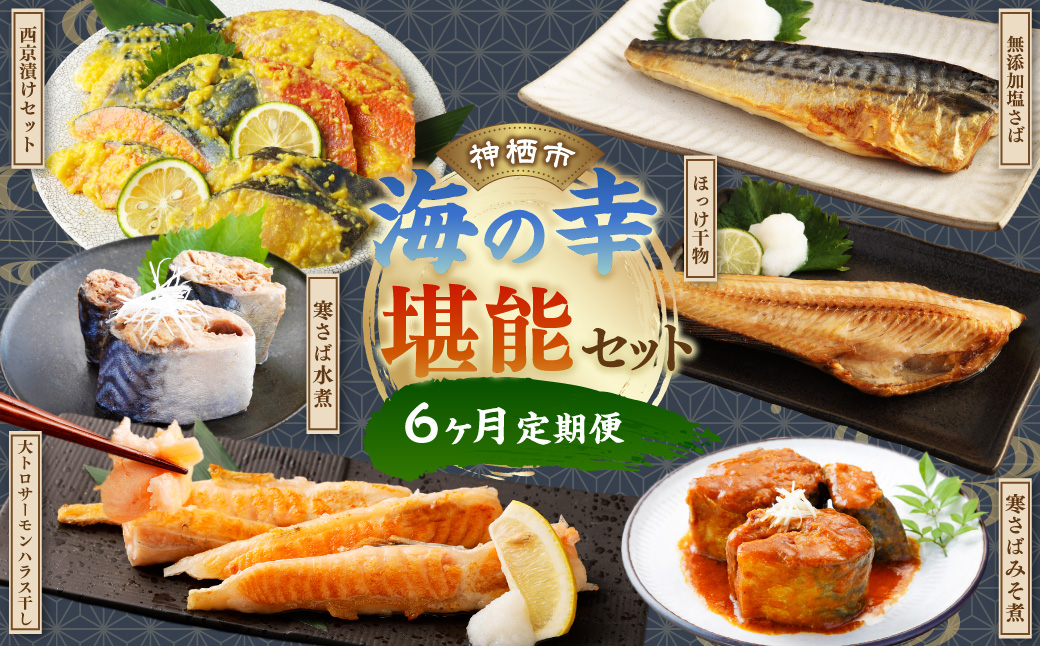 【6ヶ月定期便】 神栖市 海の幸 堪能 セット 鯖 さば サーモンハラス サバ缶 水煮 みそ煮 ホッケ 干物 西京漬け