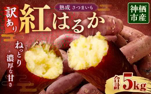 【 訳あり 】“熟成” 茨城県産 神栖市産 さつまいも 【 紅はるか 】 約5kg 芋 いも サツマイモ 野菜 やさい 国産