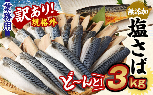 【訳あり規格外】 業務用 無添加 塩さば どーんと! 3kg 鯖 さば 塩サバ 干物 魚