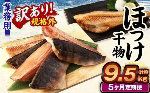 【5ヶ月定期便】【訳あり規格外】 業務用 ほっけ干物 1.9kg